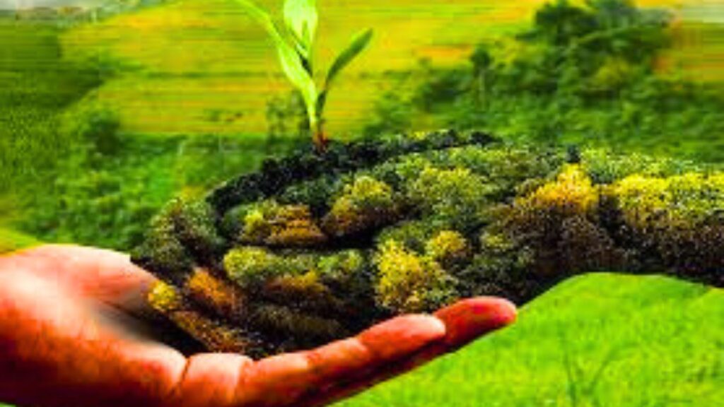 Organic Farming