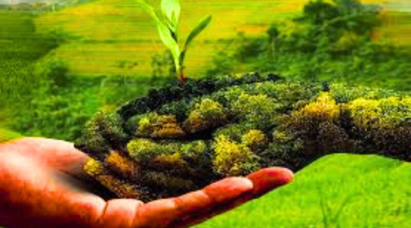 Organic Farming
